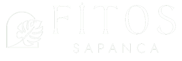 Fitos Bungalov | Fitos Bungalov | Sapanca'da Tatil